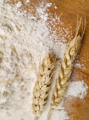 Farine de soja gras - Les diverses farines - MOULIN GIRAUD